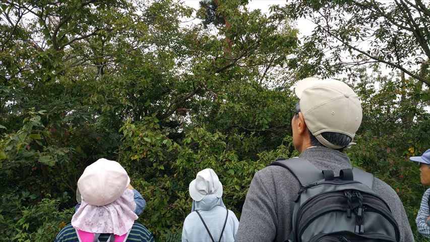 20161011_103131_R.jpg