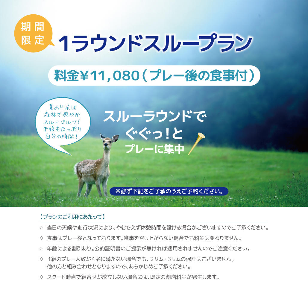 page_1Rスルー.jpg